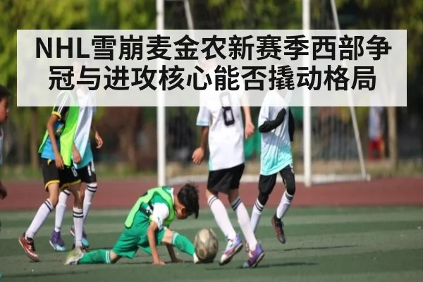 NHL雪崩麦金农新赛季西部争冠与进攻核心能否撬动格局